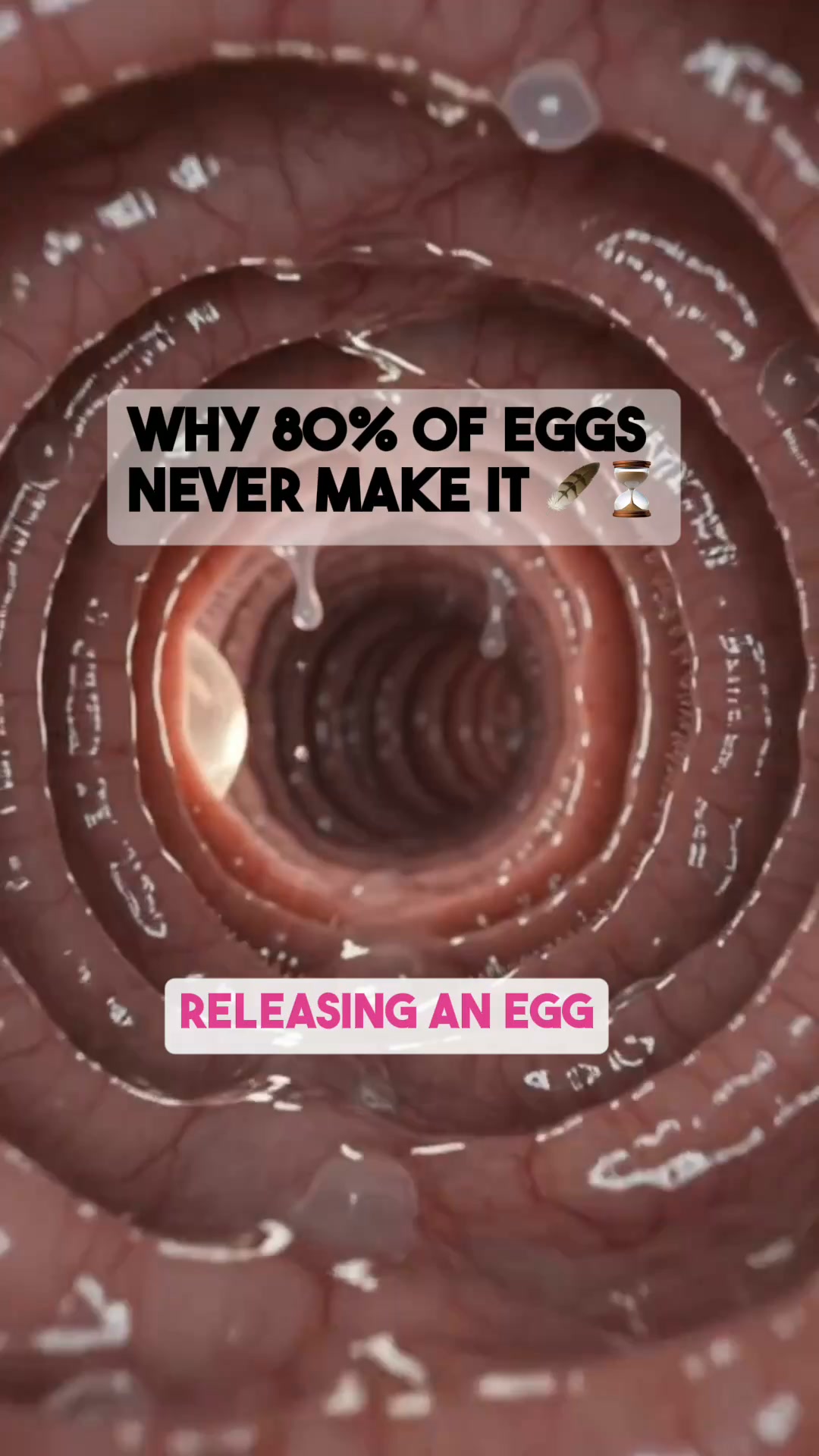 Take the Free Fertility Quiz