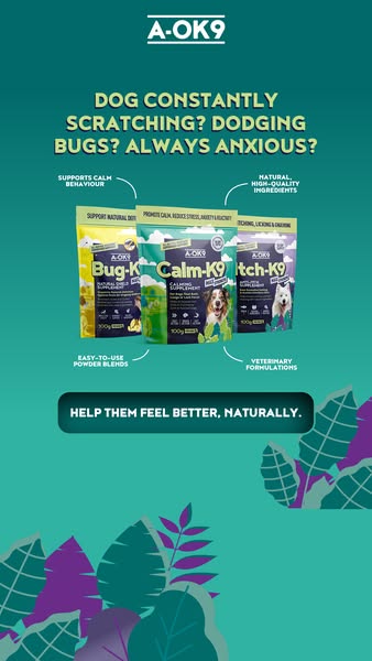 Developed By Experts, Loved By Dogs