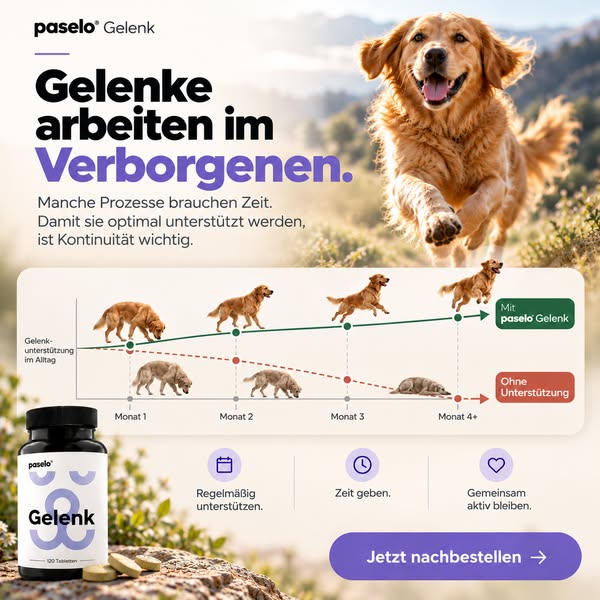 Lass seine Gelenkroutine nicht abreißen.