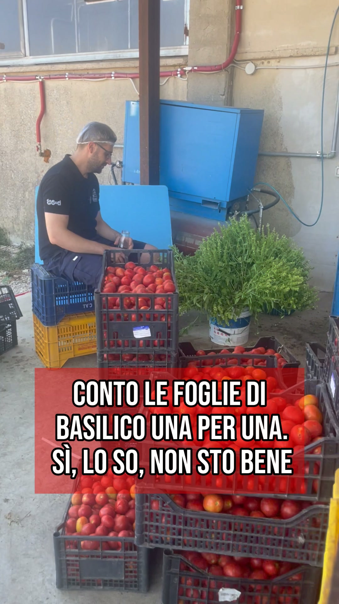 2 Regali per te