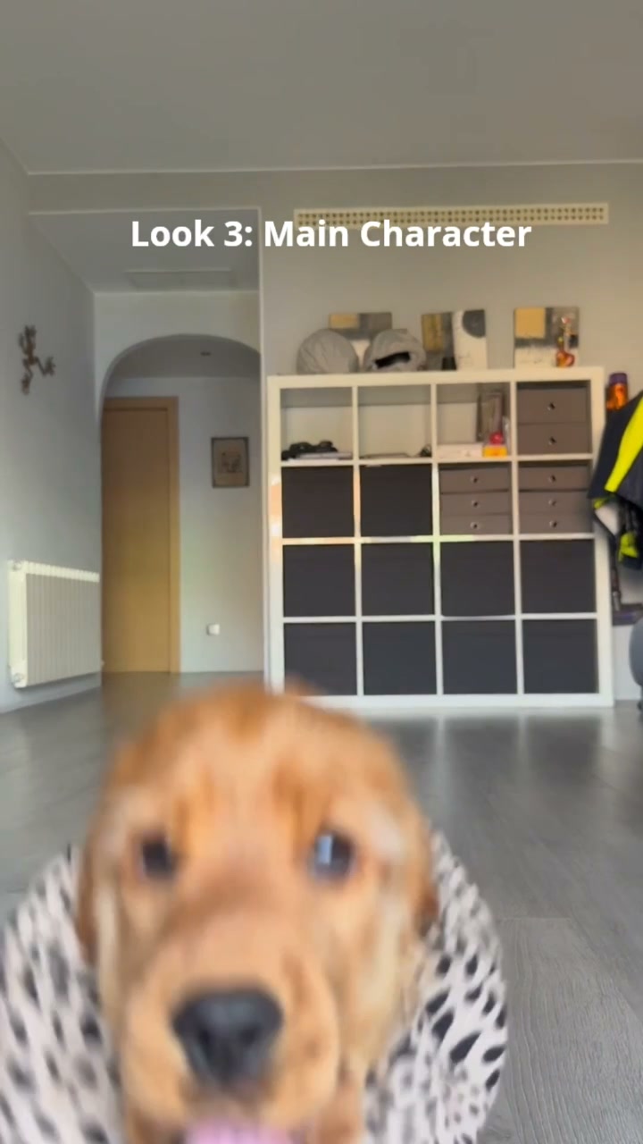 Warm, zacht, schattig