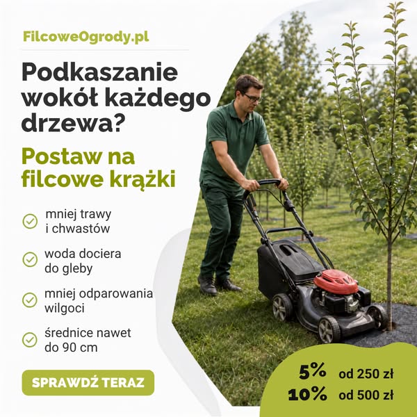 Sprawdź teraz