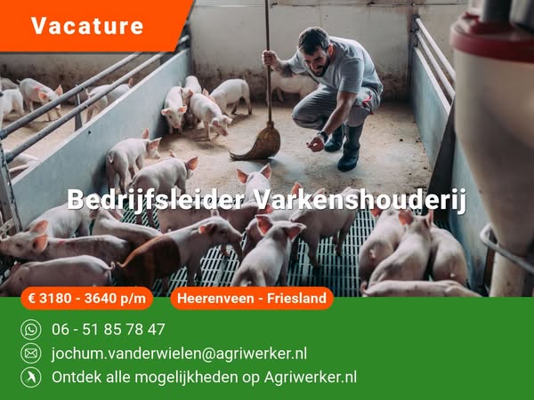 Bedrijfsleider Varkenshouderij | Agriwerker.nl