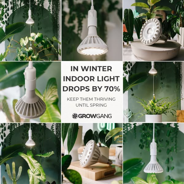 70% Less Winter Sun? Fix It.