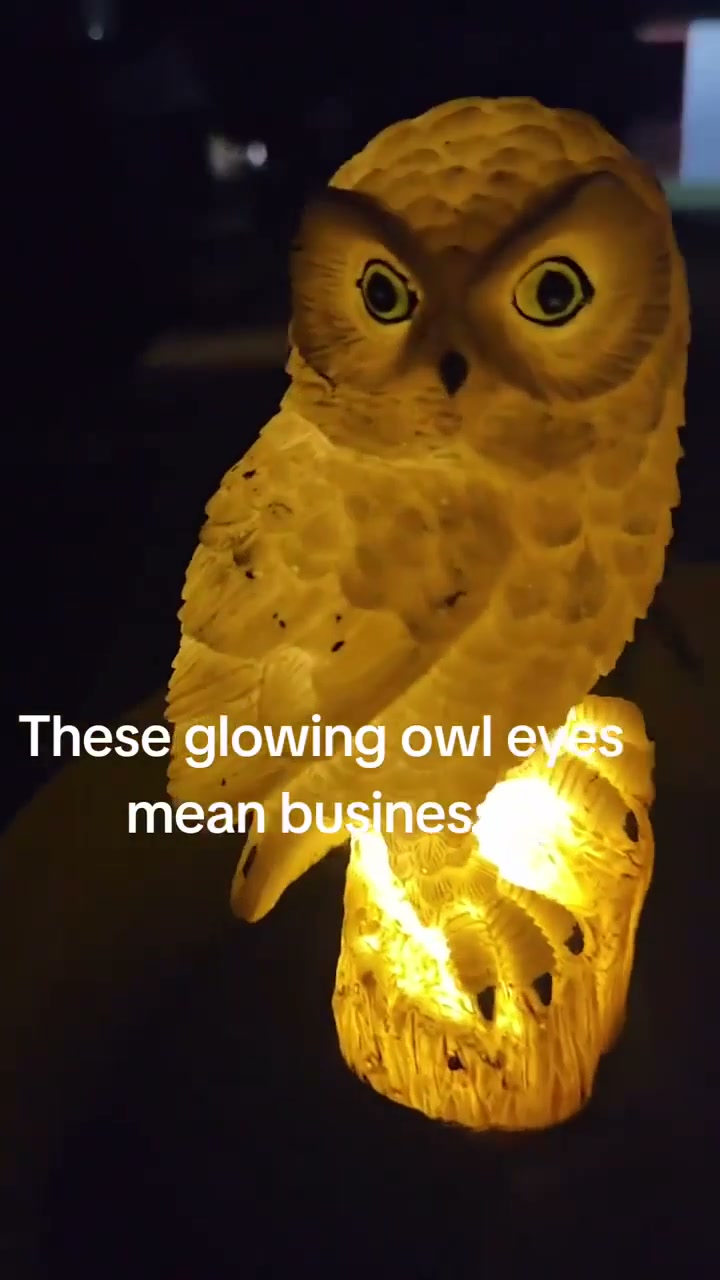 Solar Powered Owl Resin LampVintage Lovely Ambient Ornament Multi-scene Home & Courtyard Decorations