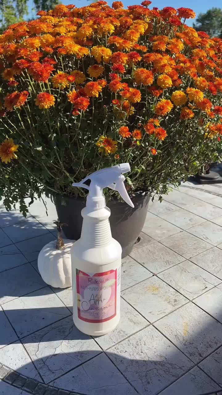 Clean the Mess, Keep the Holiday Scent!