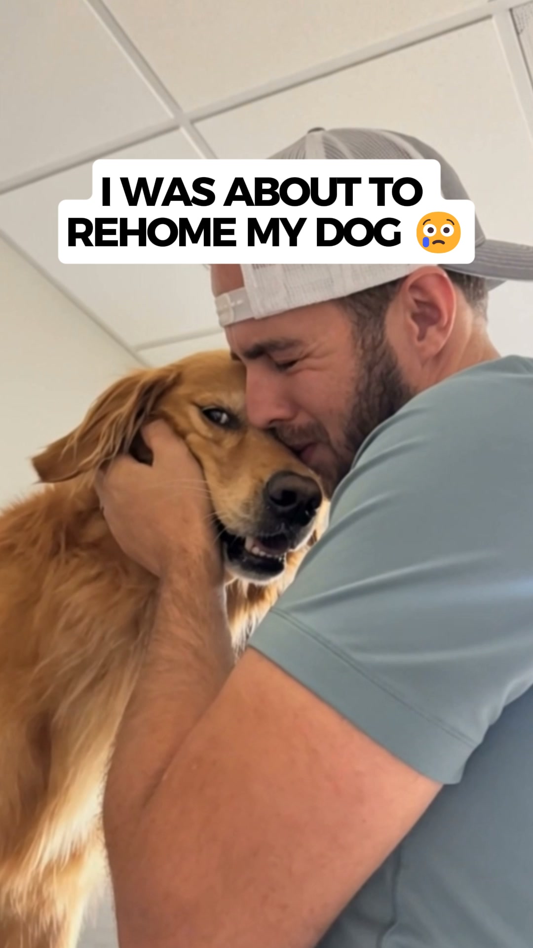 A New Way to Calm Noise-Anxious Dogs, 24/7
