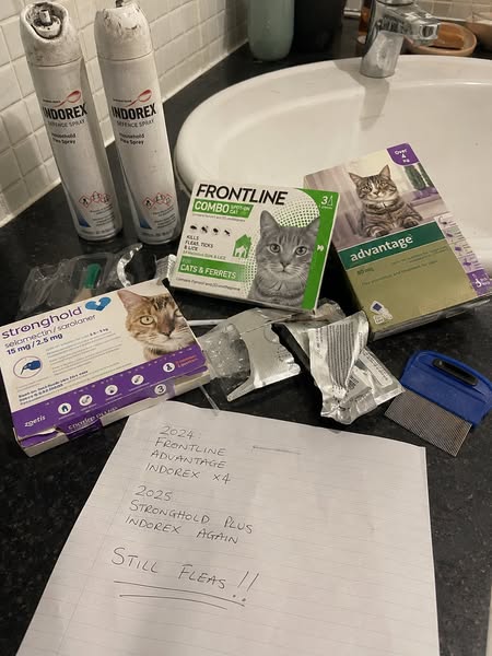 If you have cats, read this