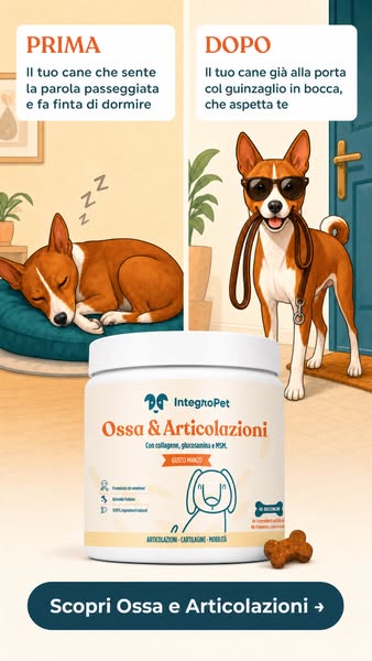 Ossa & Articolazioni