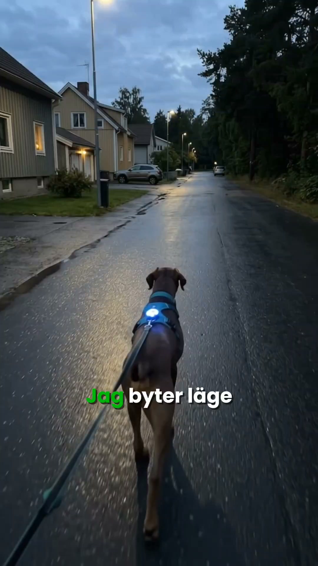 Rätt ljus för varje väg