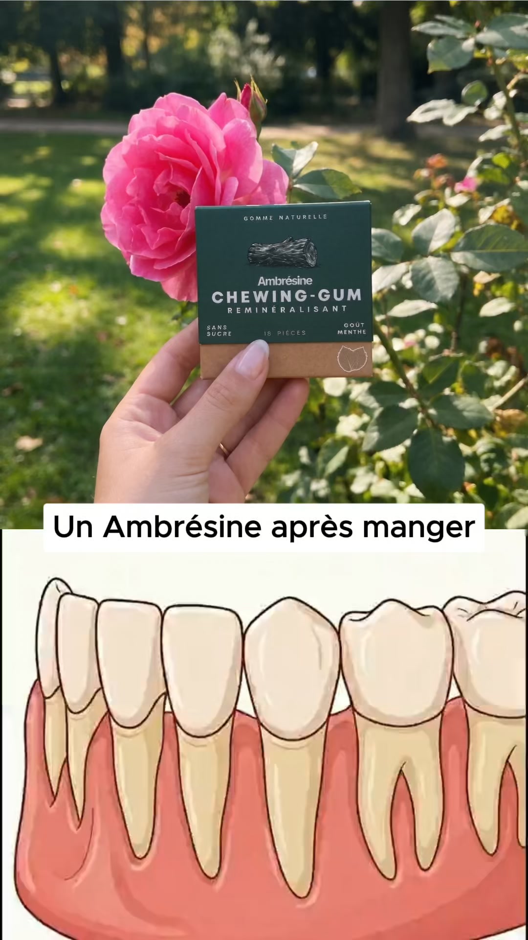 45 % + cadeaux offerts : l'automne Ambrésine