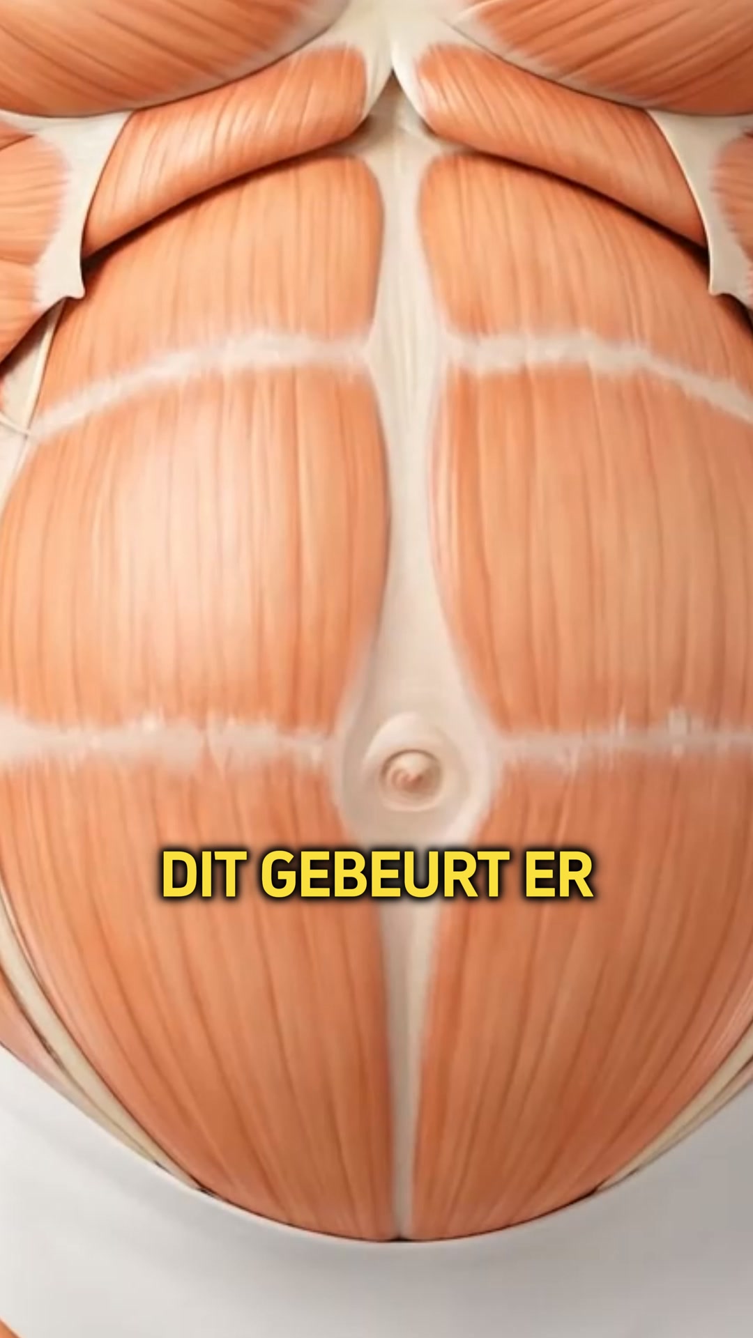 100% PUUR GEMBERSAP