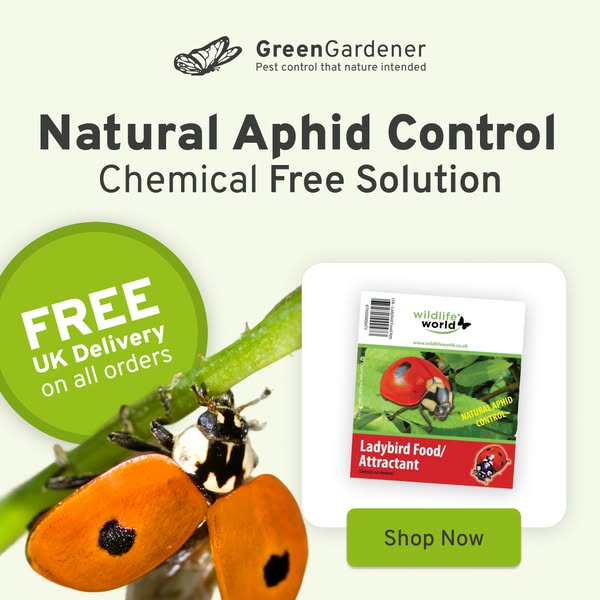 Control Aphids Naturally