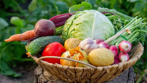 New Crop Technology Uses Plants’ Own Signals to Boost Yields