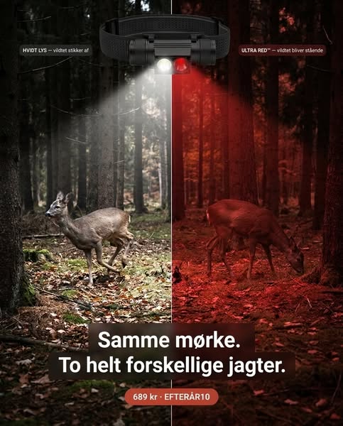 1.000 lumen. Op til 69 timer.