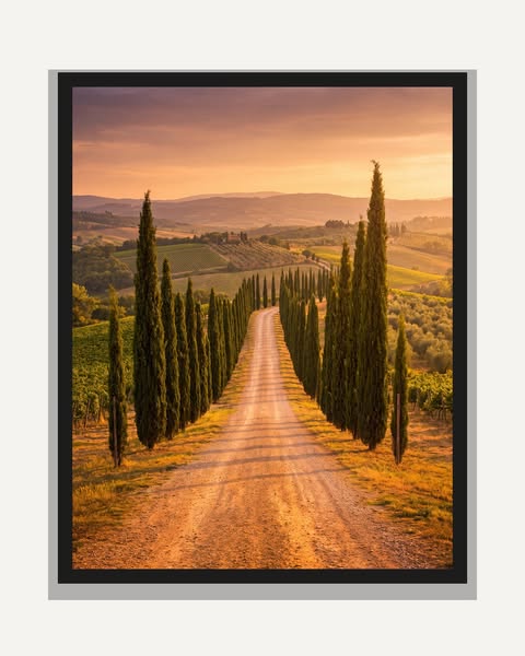 Cypressallé – Inramad poster 50×70