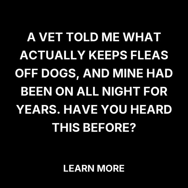 The Flea Prevention Method Vets Say Actually Works on Dogs