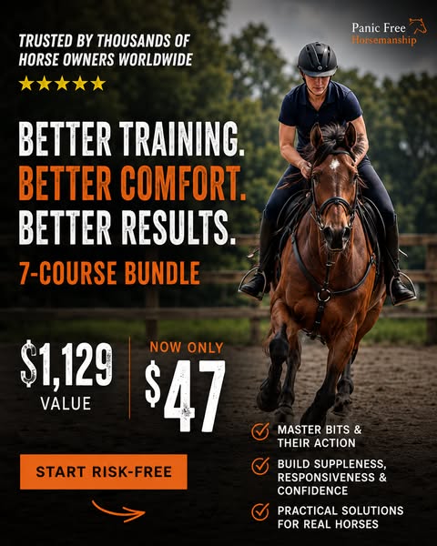 Stop Guessing With Your Horse’s Bit