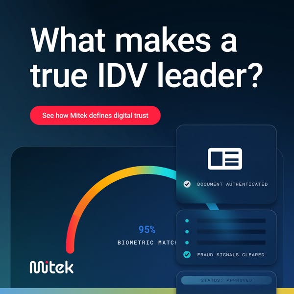 What defines an IDV leader?