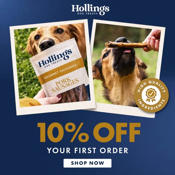 Air-Dried Dog Treats