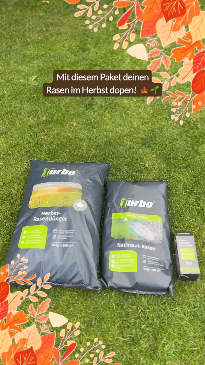 Rasen nach dem Sommer retten