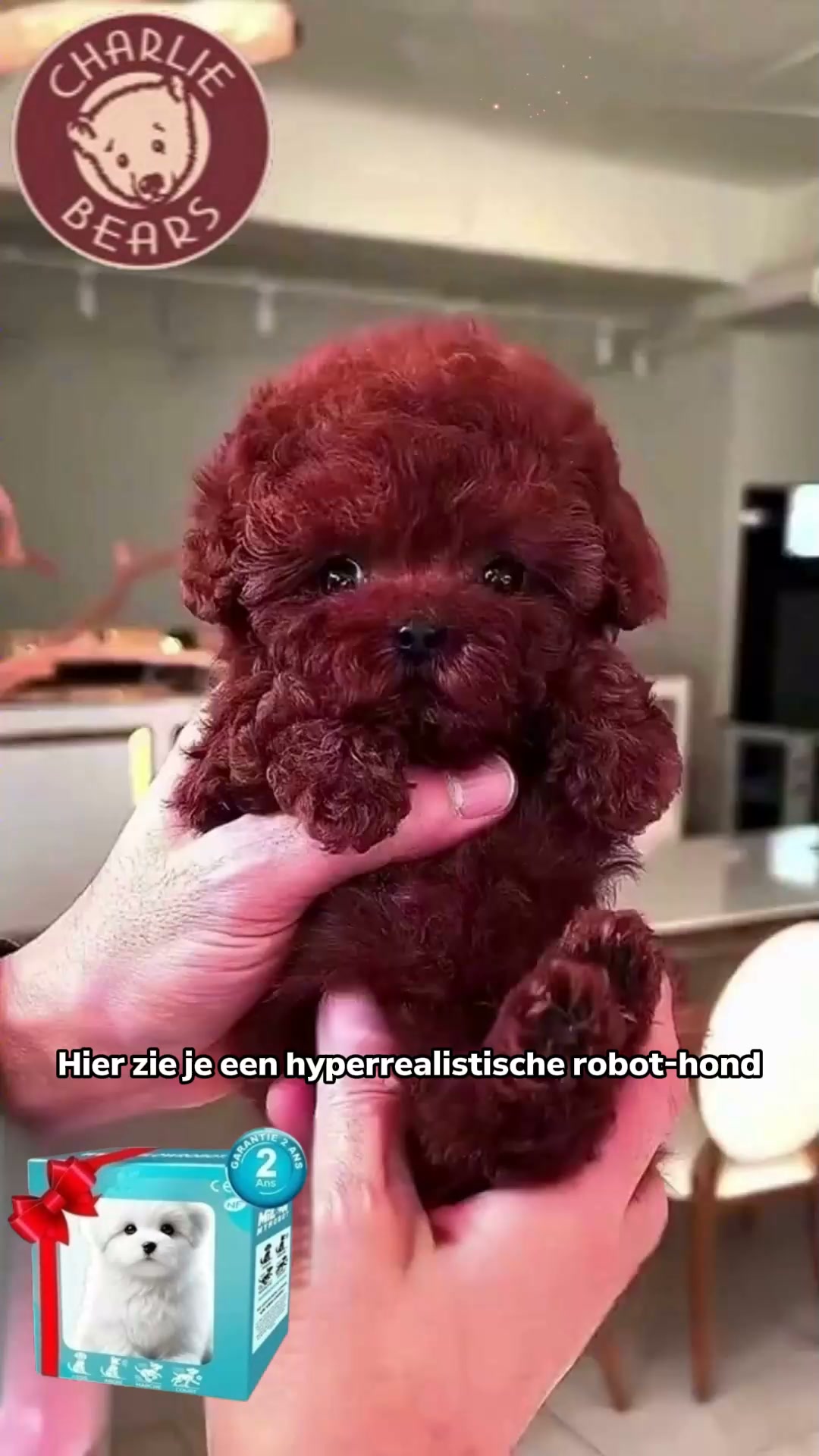 Interactief robot‑knuffelhondje! Een schattige slimme vriend voor jong en oud