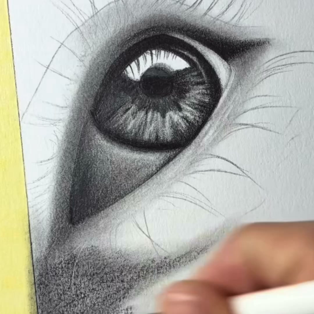 Improve Your Drawing in 15 Minutes a Day