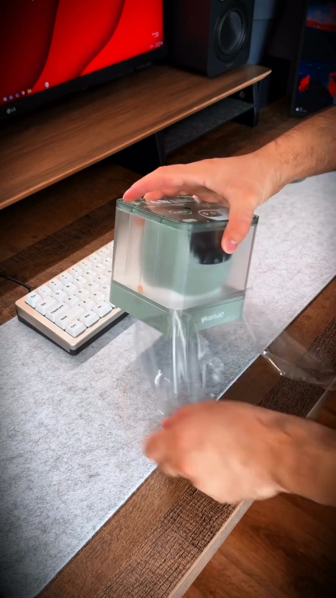 PlantsIO Ivy – Smart & Interactive Planter