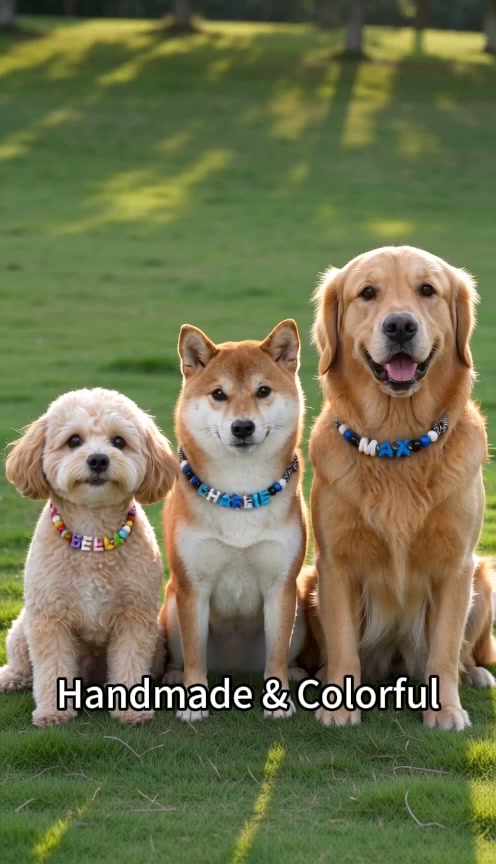 Personalized Beaded Adjustable Dog Necklace