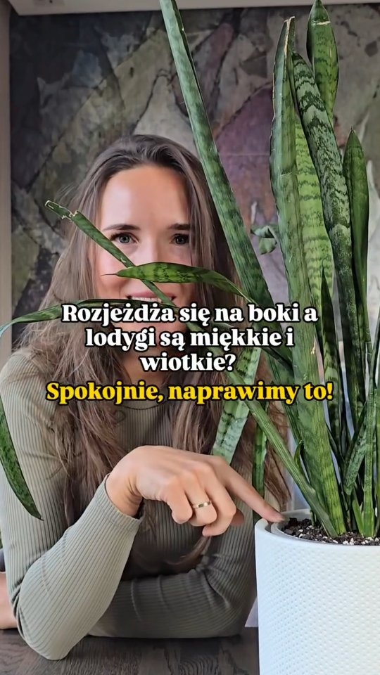 Anúncio de Leaflo