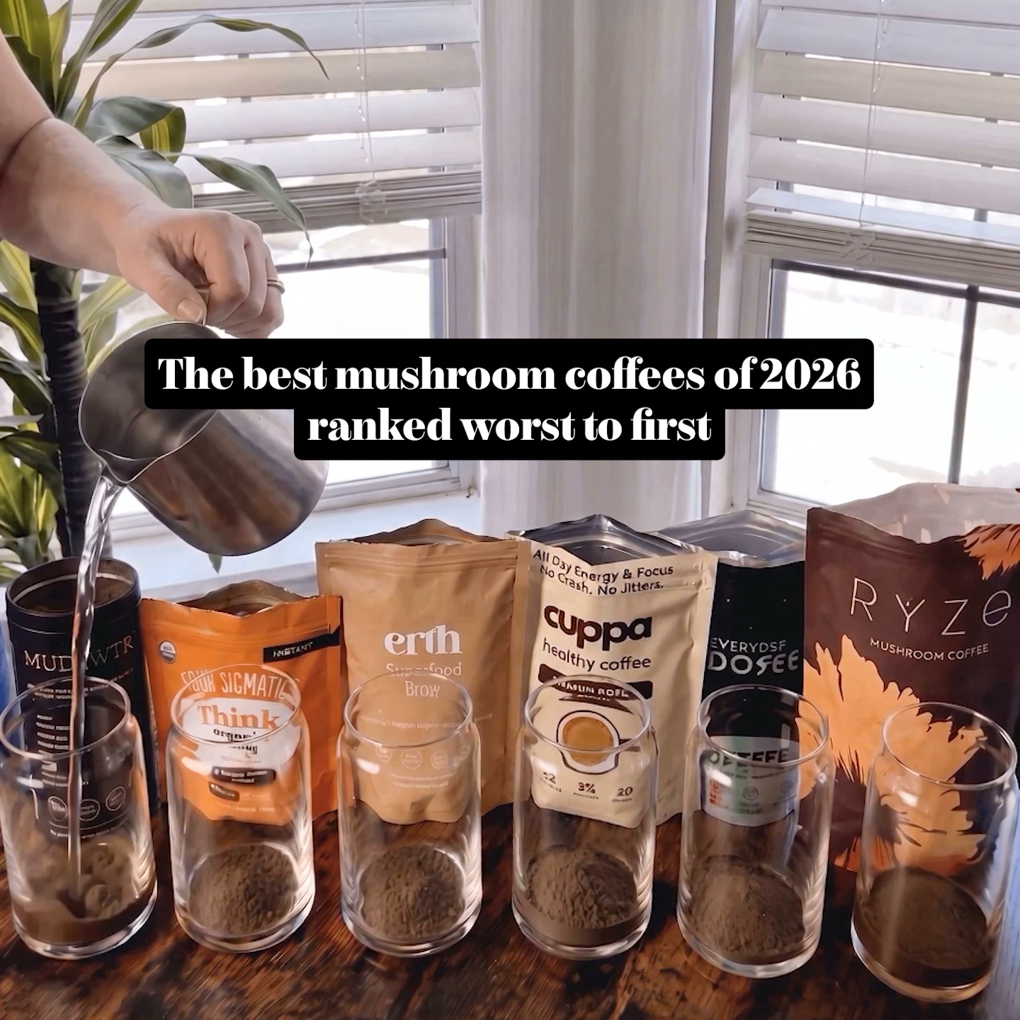 Top Mushroom Coffees Ranked