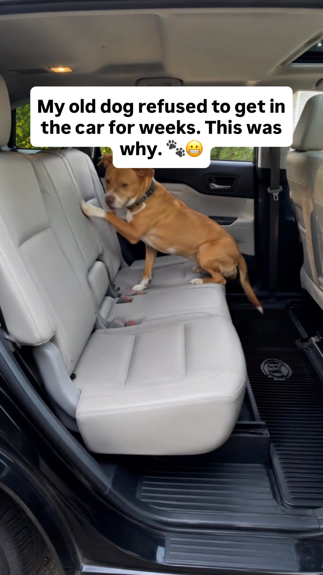 Safe & Comfy Rides in 1 Easy Step