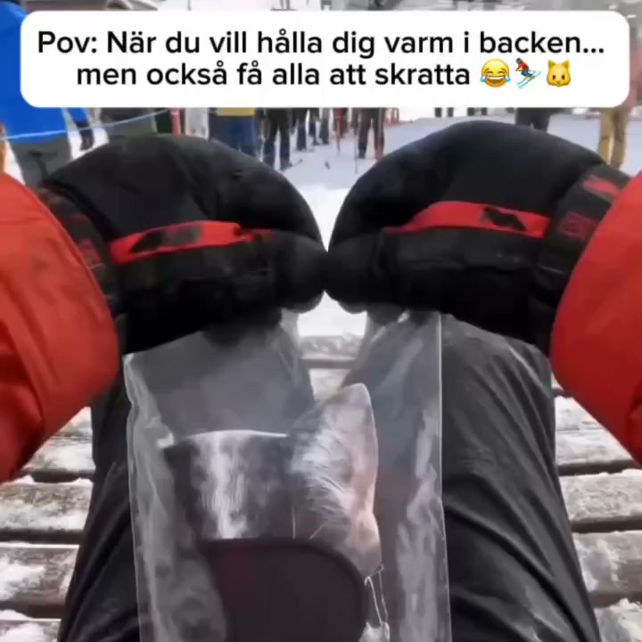 Vinterns roligaste mask