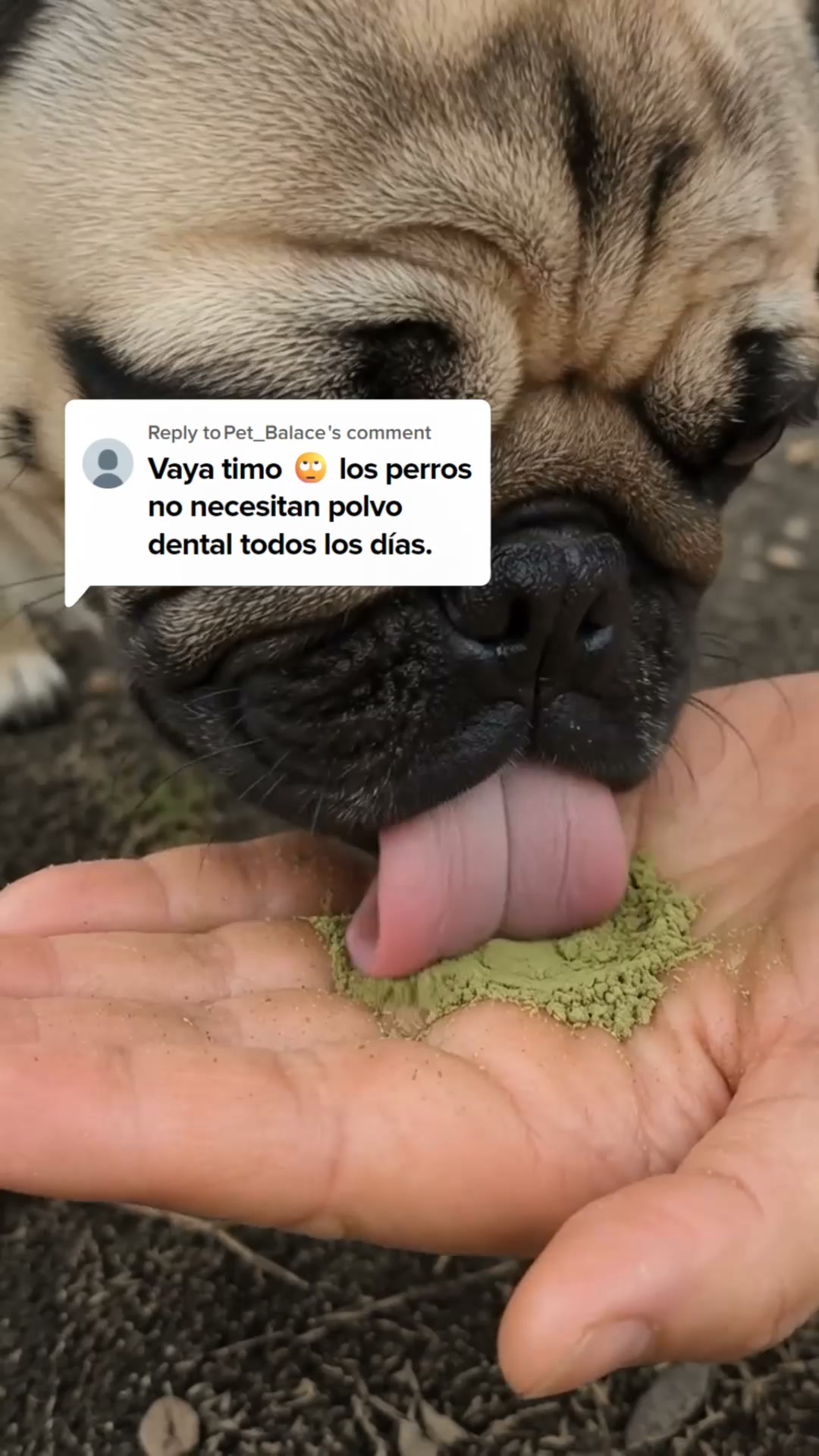 ENVÍOS GRATIS + PAGAS AL RECIBIR