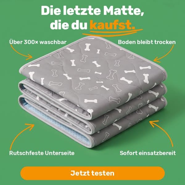 Wie wir jeden Hund stubenrein bekommen