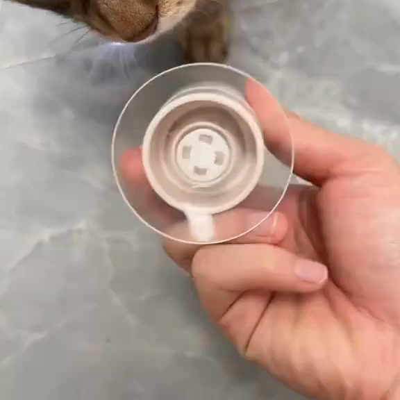 Wild About This Toy
