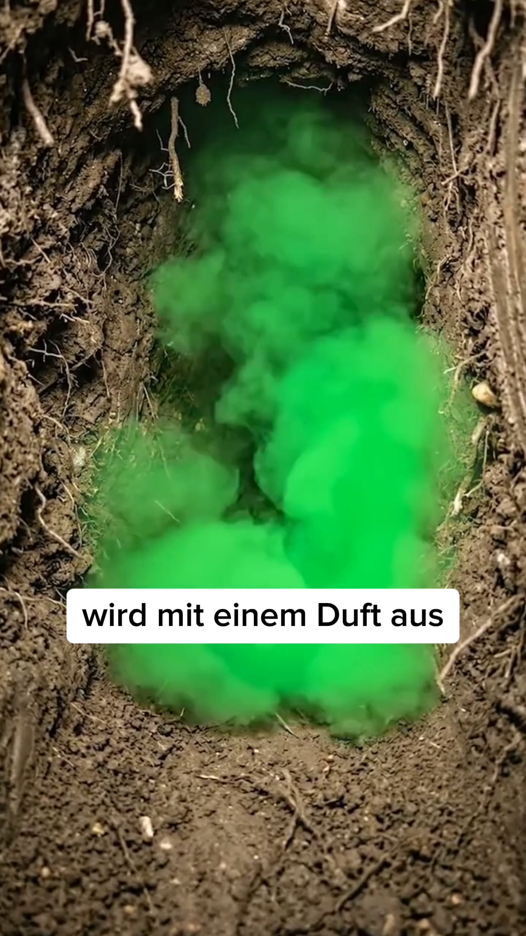 Über 16.000 glückliche Kunden