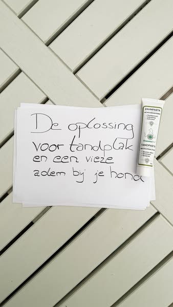 Alleen het beste voor je viervoeter