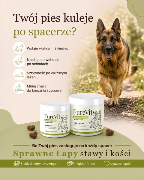 Twój pies kuleje po spacerze?