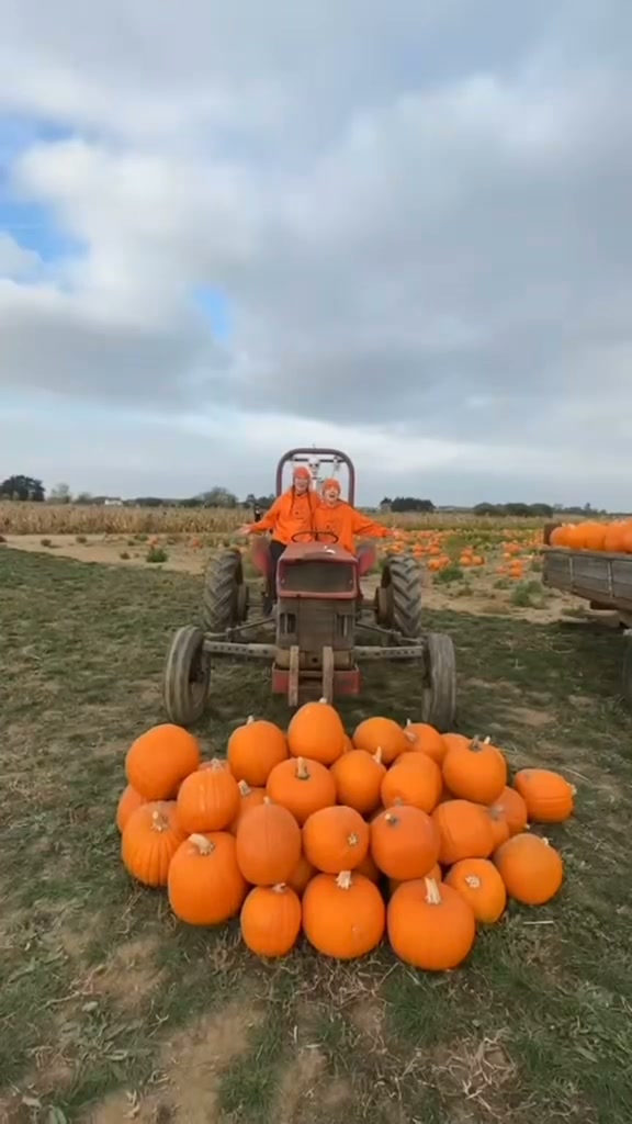Pick your own spook-tacular pumpkins!