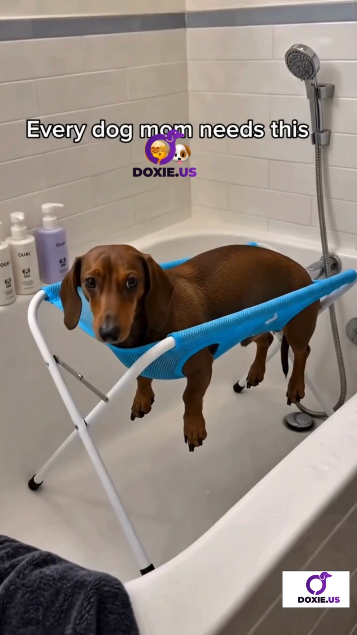 Anúncio de Doxie.us