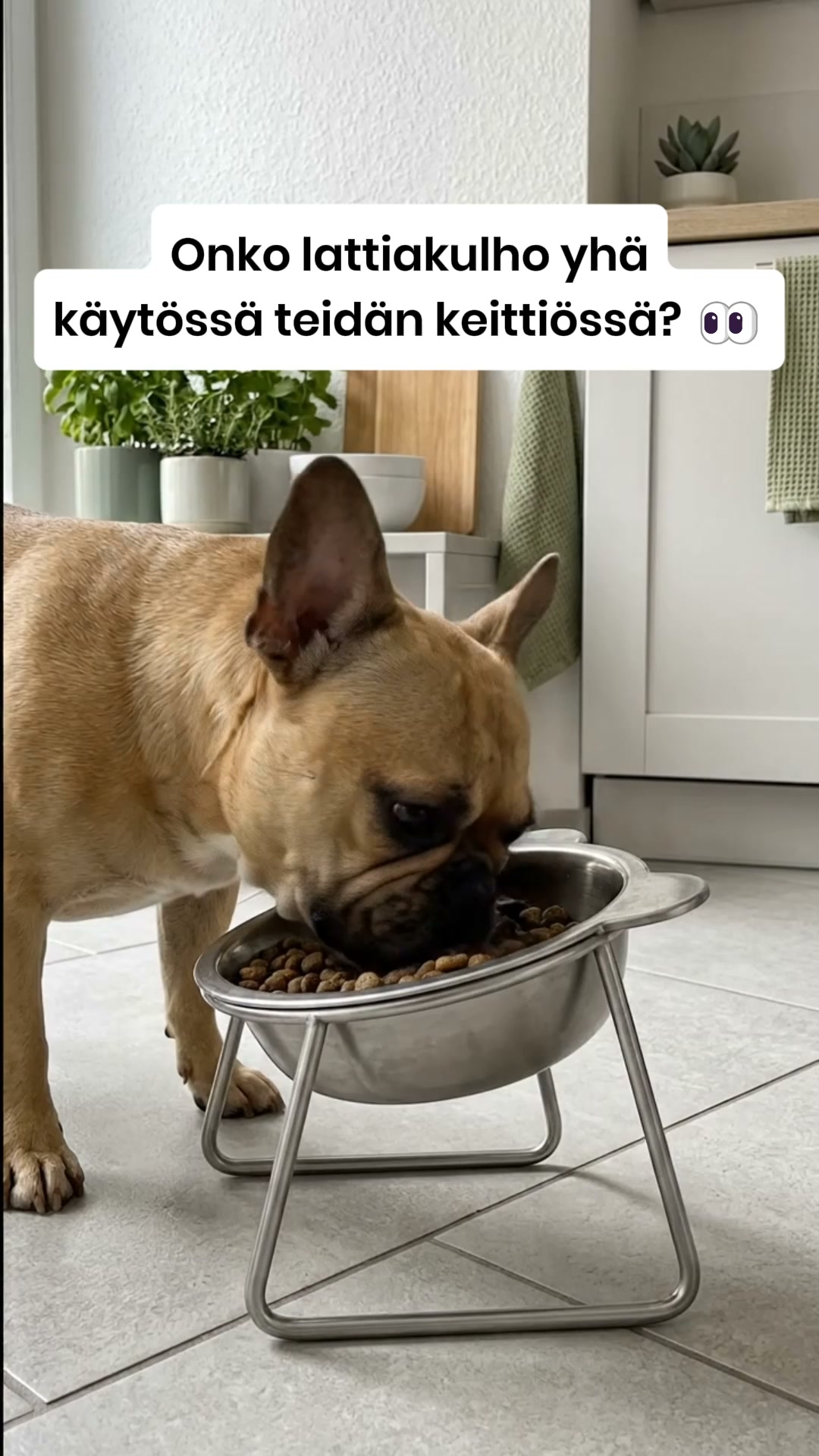 Unohda muovi. Paranna ruokailuhetkeä.