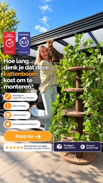 Kattenboom krabpaal met bladeren