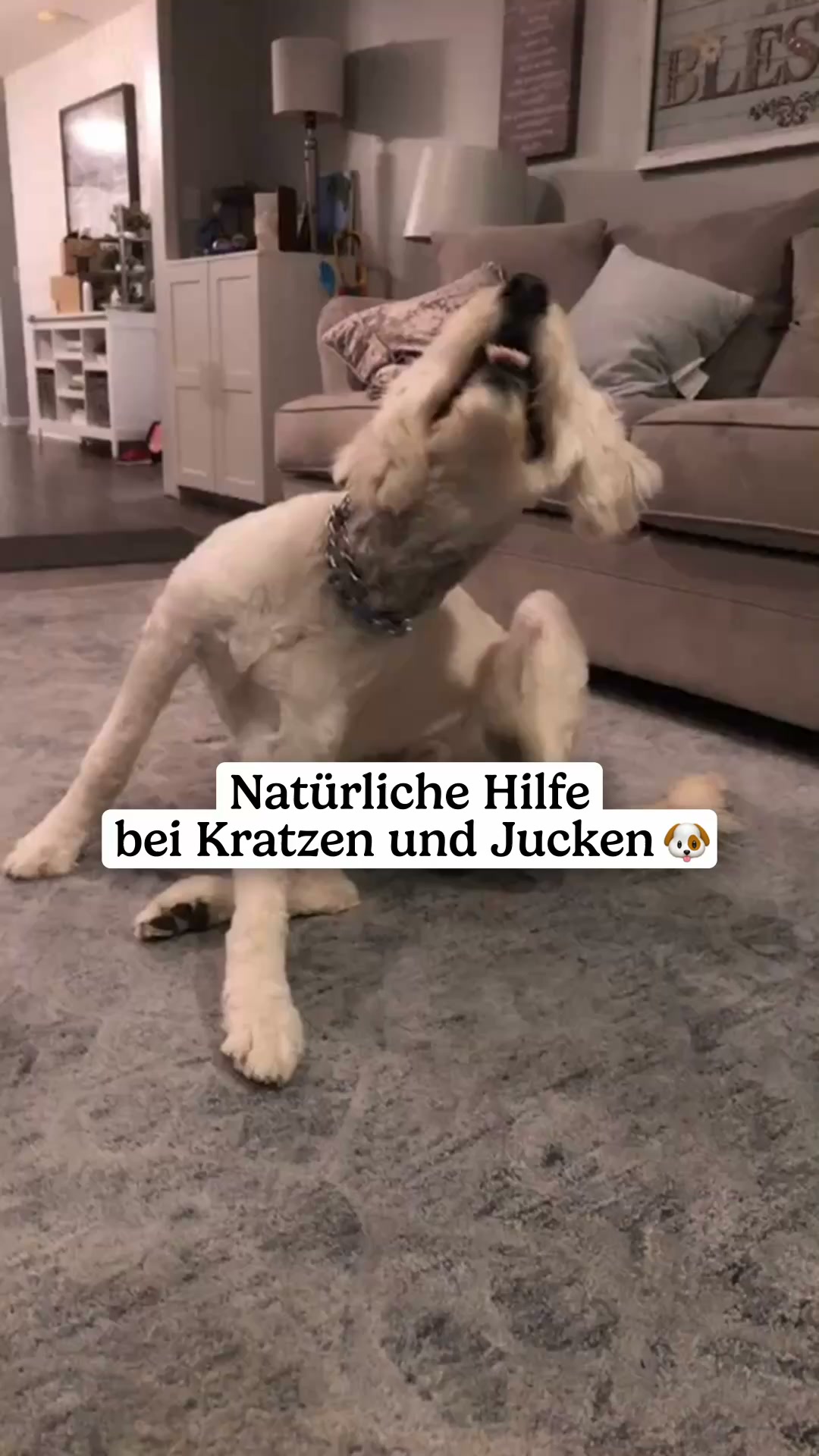 Mit Tierärzten sorgfältig entwickelt!