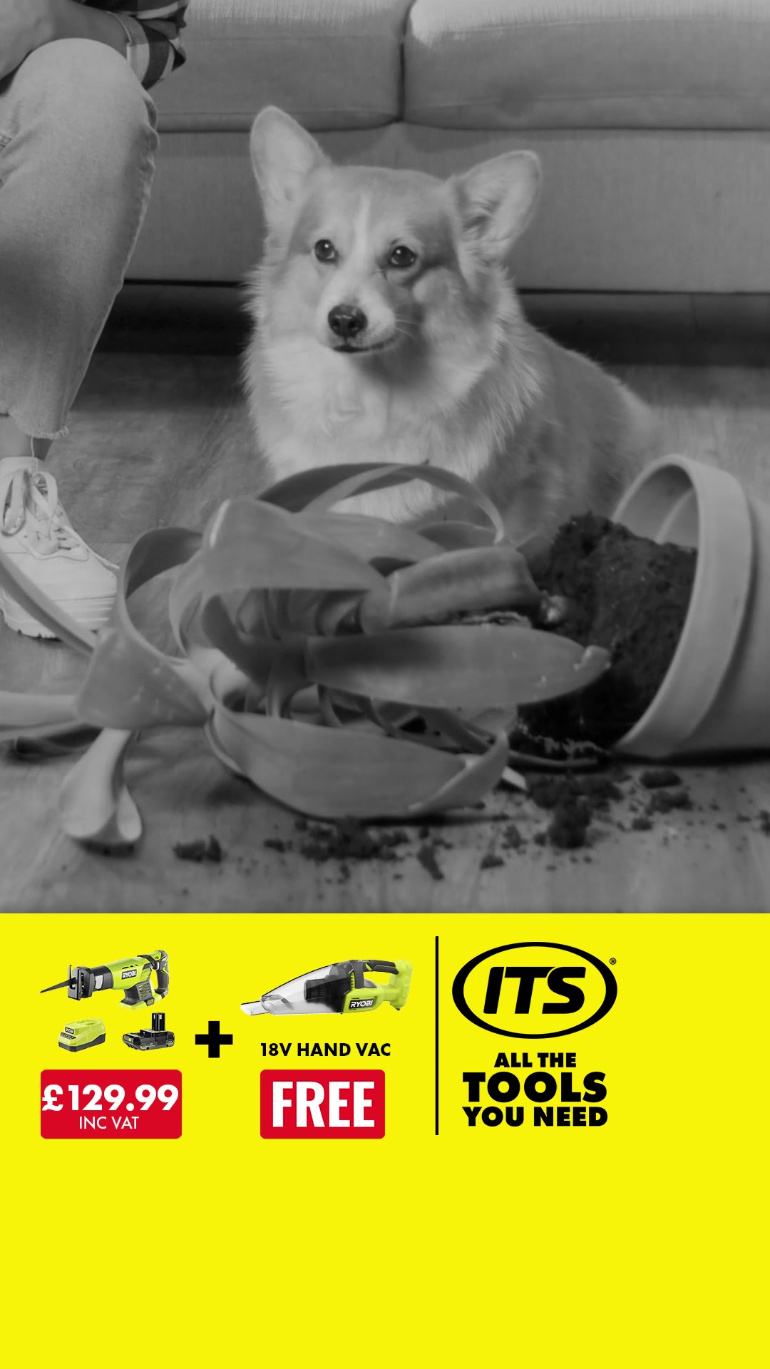 Get a FREE Ryobi ONE+ Vacuum!