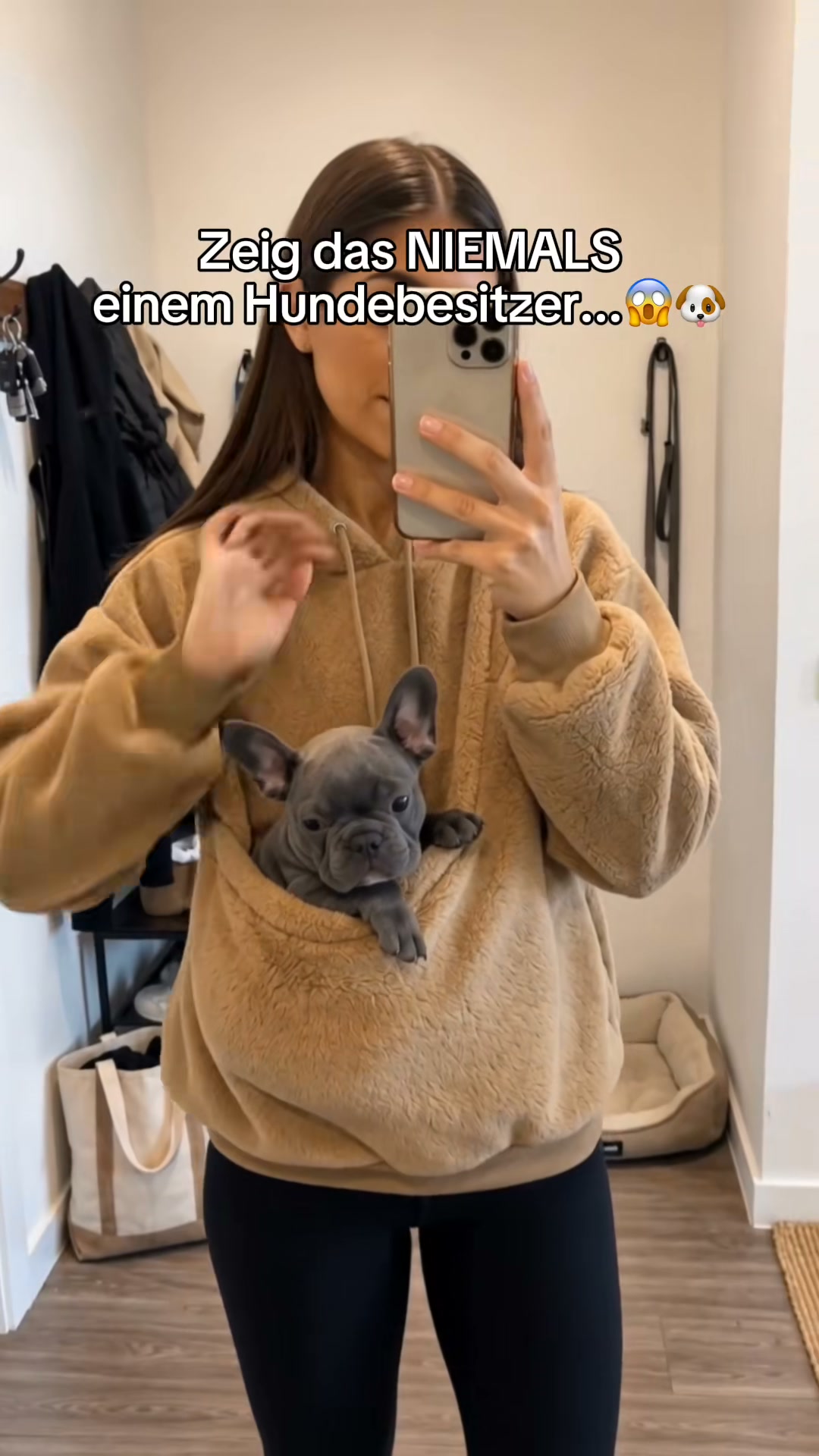 Dein Liebling ganz nah – mit dem Pet-Tragehoodie