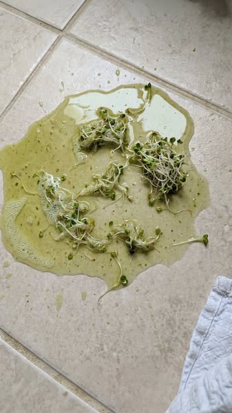 Ate raw broccoli sprouts every morning for 3 months. Went for the breath test. Positive still.