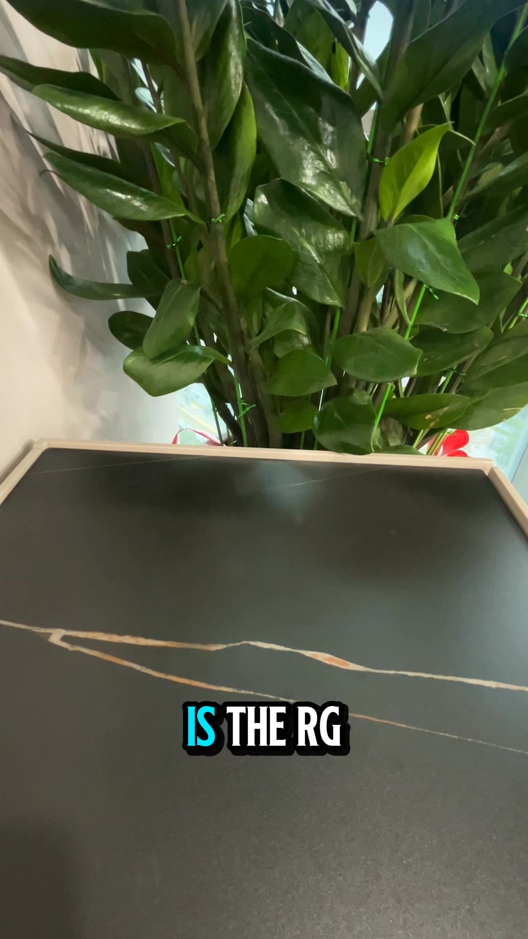 Save $40 Today