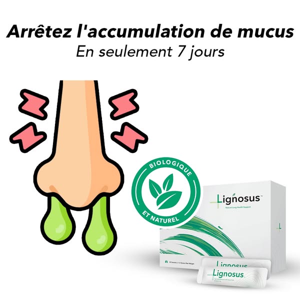 Essayez Lignosus aujourd'hui