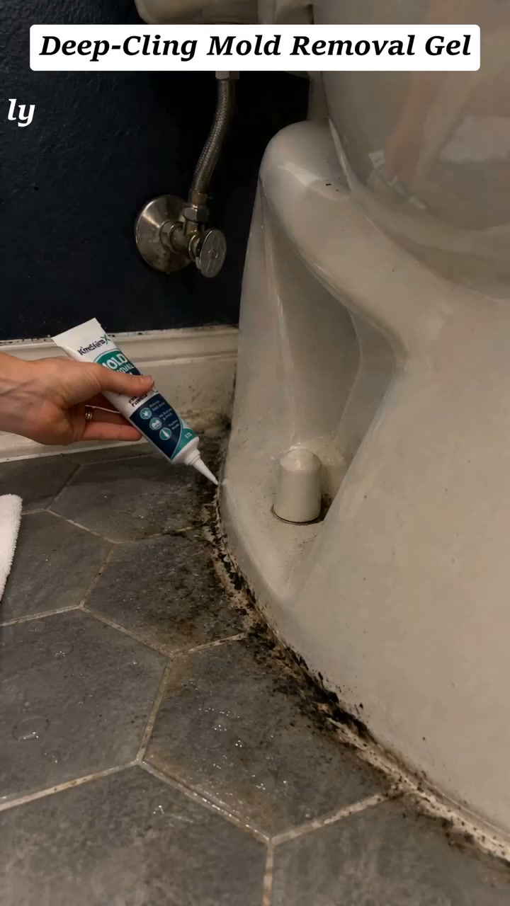 Pożegnaj się z uporczywą pleśnią!